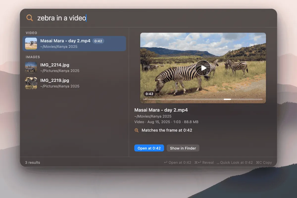 Digup Run (DigUp-lineage) Mac search panel: query “zebra in a video”, result with video at 0:42 — still from upstream DigUp docs/demo.gif.